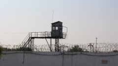 В МВД Казахстана поддержали амнистию некоторых женщин-заключённых, но заявили о возможных рисках 