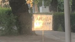 Акимат сдаёт в аренду под частные парковки участки улиц в центре Алматы