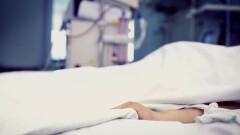 Полицейский сбил пешеходов в Шымкенте: пострадавшая женщина скончалась