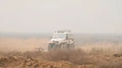 Аким о пожаре в резервате "Акжайык": Все версии проверят соответствующие органы