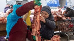 Цены на конину и говядину в Казахстане подскочили на 20% с началом заготовки согыма