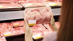 Казахстан будет полностью обеспечивать себя мясом птицы к 2026 году – Жумангарин