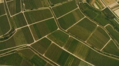 Компания купила у государства землю по низкой цене и продала по кусочкам под коттеджи в Актобе
