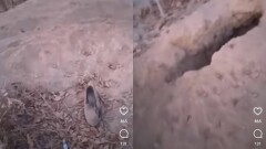 Полиция: Раскопать могилы в Талдыкоргане могли животные