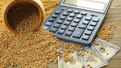 Продкорпорация занижала госфинансирование некоторым сельхозпроизводителям 