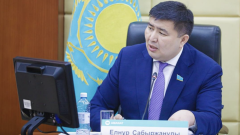 "За чашкой кофе в Европе". Депутат заявил о лоббистах, противостоявших закону по борьбе с игроманией
