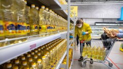"На грани банкротства". Фермеры просят пересмотреть экспортную пошлину на подсолнечник 