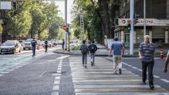 "Уступать машинам при зелёном сигнале". МВД отказалось от резонансной поправки для пешеходов