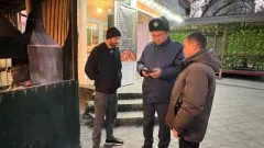 Несколько шашлычных оштрафовали после жалоб на дым в Алматы