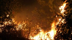 Глава МЧС: Сегодня планируем локализовать пожар в Карагандинской области