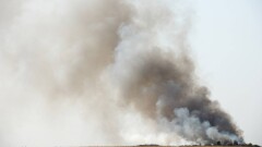 Запах гари в Астане: в городе зафиксировали превышение диоксида азота и сероводорода