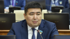 Уволился за пару недель до преступления – депутат о бывшем члене партии Amanat, подозреваемом в педофилии