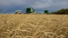 Россия сняла запрет на импорт пшеницы из Казахстана