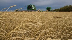 Засуха и дефицит воды в Казахстане: только 45% посевов зерновых культур сохранили в хорошем состоянии