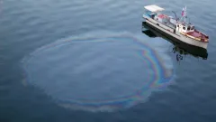 "Можно спутать с тенью от облаков". В Минэкологии отреагировали на данные о нефтяных пятнах на Каспии