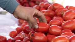 Ежедневная сельскохозяйственная ярмарка начнёт работать в Астане