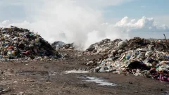 Деятельность предприятия приостановили в Жамбылской области за нарушения экологических норм