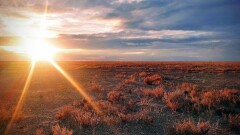 Пустынные экосистемы Алтын-Эмеля и Барсакельмеса включили в список всемирного наследия ЮНЕСКО