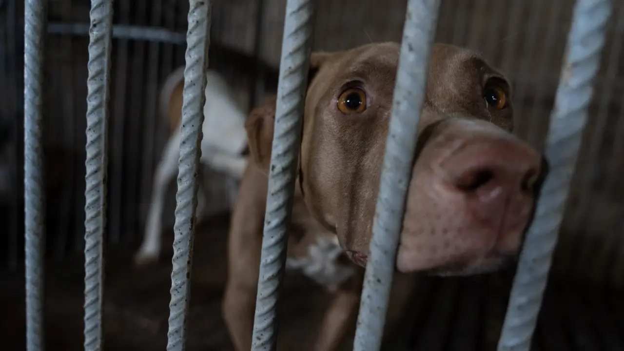 Фото Informburo.kz