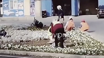 Почему в Шымкенте начали посадку цветов на городских клумбах зимой, объяснили в акимате