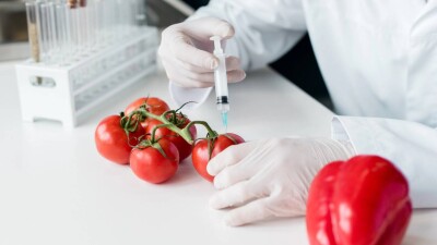 Как часто выявляют ГМО в продуктах питания в Казахстане