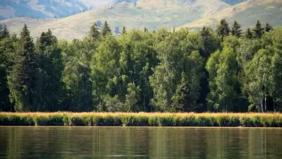 Туристам временно запретили посещать Катон-Карагайский нацпарк
