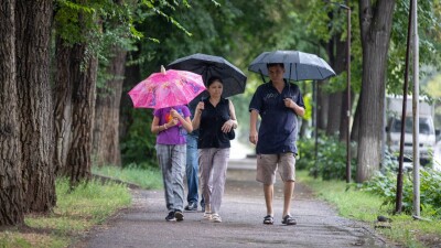 Дожди и тёплая погода ожидаются в Казахстане в ближайшие дни 