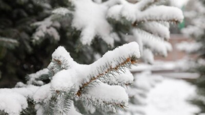 Какой будет погода в ноябре, рассказали в Казгидромете