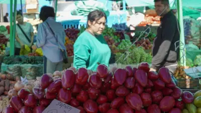 Сельскохозяйственная ярмарка пройдёт в Астане в ближайшие выходные 