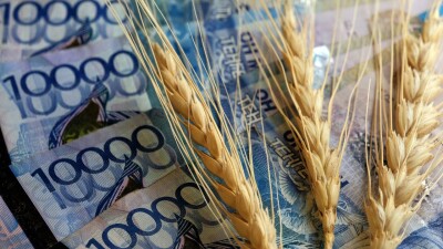 "Сбоев не было". 150 млн тенге потратили на сопровождение цифровой системы для фермеров