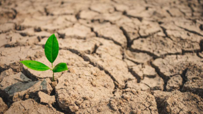 Прогноз на количество осадков: ожидать ли казахстанцам засуху в мае