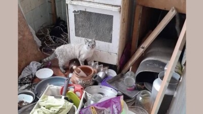 "Измазаны своими фекалиями". Омбудсмен показала, в каких условиях живут дети, которых забирают из семей