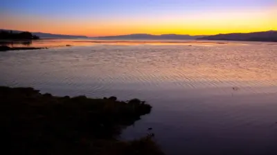 Земельный участок около озера Щучье, принадлежавший компании Кулибаева, вернут в госсобственность 