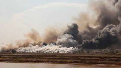 Причину появления дыма в столице назвали в ДЧС
