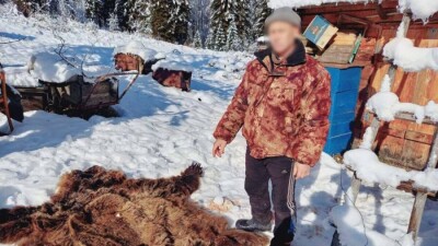 Браконьер убил и съел медведя в ВКО