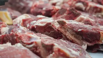 Сколько мяса сайгаков и по какой цене продали в разных городах Казахстана