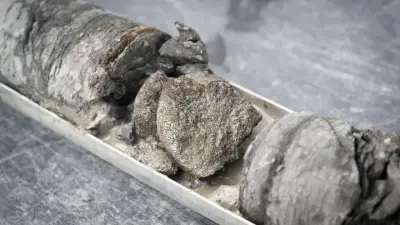 В США останки динозавра нашли под парковкой музея, известного своей экспозицией древних животных