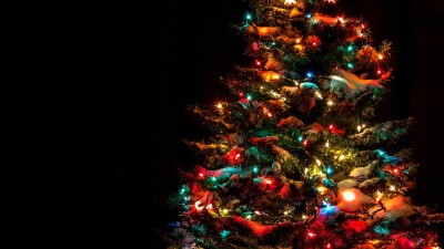 Скандал с новогодней ёлкой в Житикаре: подрядчик отсудил у акимата 14,4 млн тенге