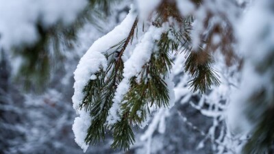 Похолодание до -20 градусов прогнозируют синоптики в начале марта