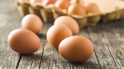 Стоит ли казахстанцам ожидать снижение цен на яйца, ответил эксперт
