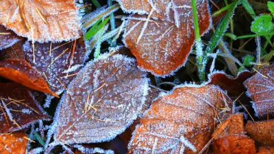 Холода придут на юг Казахстана