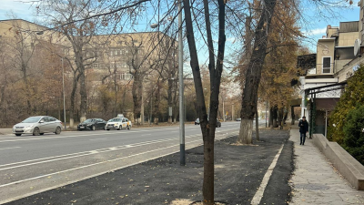 Несколько деревьев вырубили перед рестораном в Алматы. Вместо них появилась парковка