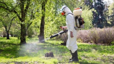 Обработка против клещей: можно ли алматинцам посещать парки и выгуливать там животных