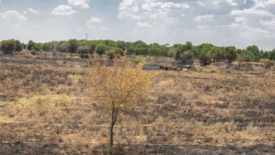 Токаев обсудил с акимом ВКО создание в регионе двух приграничных районов