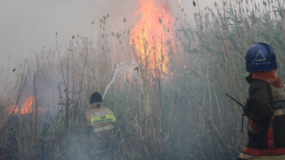 Сухостой тушат вторые сутки в Астане: вертолёты сбросили около 198 тонн воды