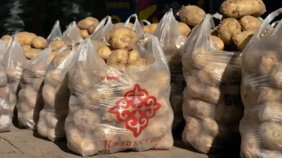 "Урожая будет достаточно". Цены на картофель снизятся в Казахстане, заверил глава Минсельхоза