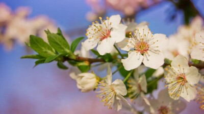 Какая погода ожидается в Казахстане в выходные