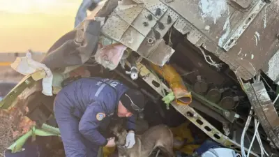 Расследование крушения самолёта AZAL под Актау близится к завершению – Бозумбаев