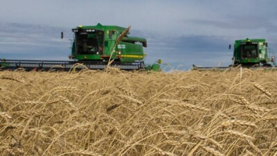 Костанайским аграриям нечем платить долги Продкорпорации