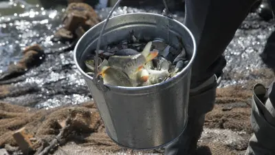 Сенат внёс поправки в закон об аквакультуре и вернул его в мажилис